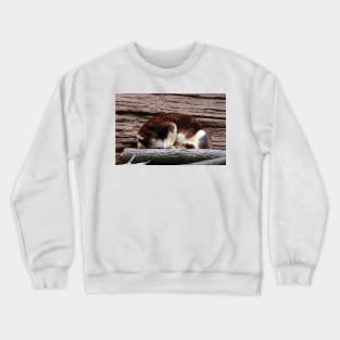 Matschie’s Tree Kangaroo Crewneck Sweatshirt